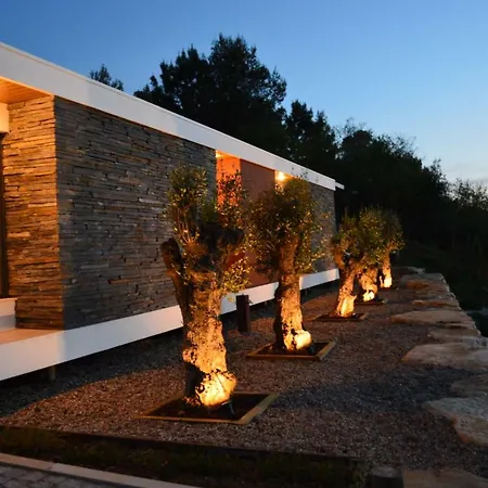 Bem Vindo * Cela Velha